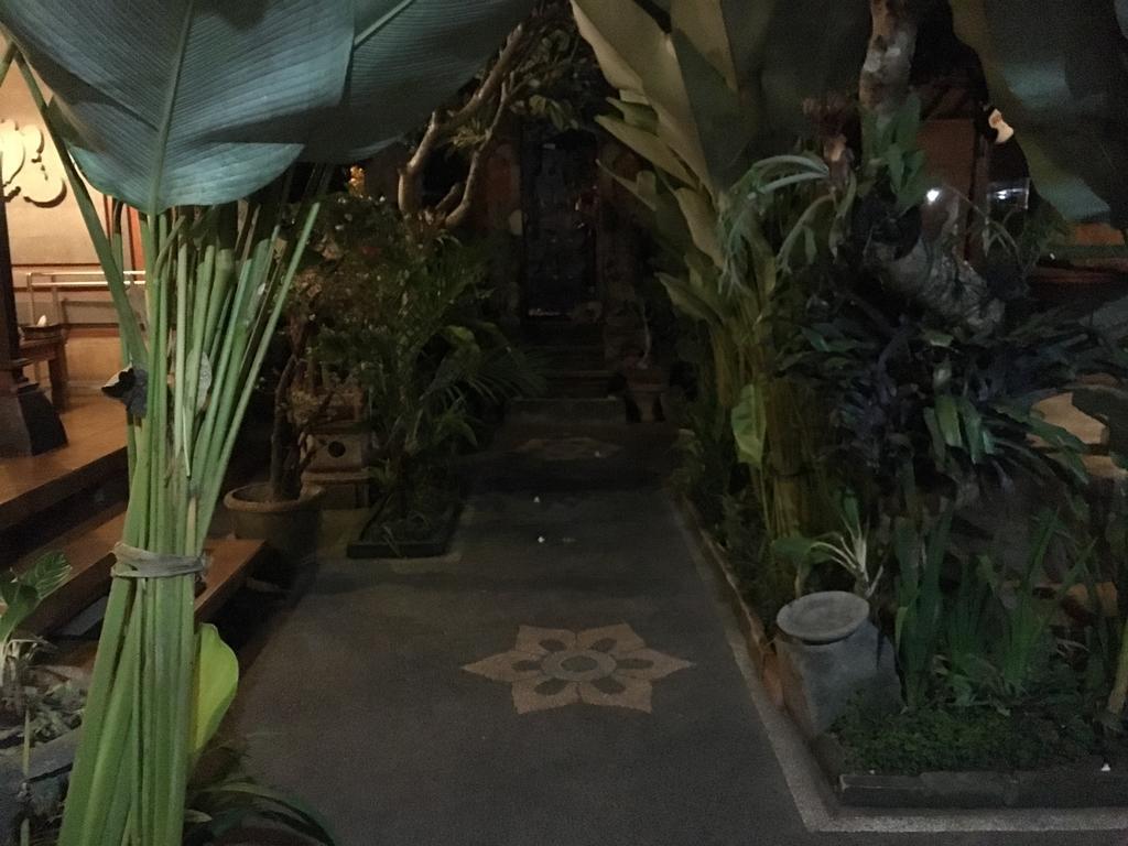 Bale Bali House Apartment Ubud  Ngoại thất bức ảnh