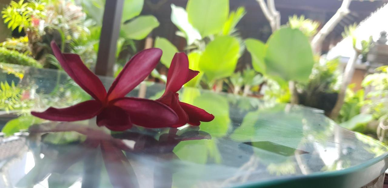Bale Bali House Apartment Ubud  Ngoại thất bức ảnh